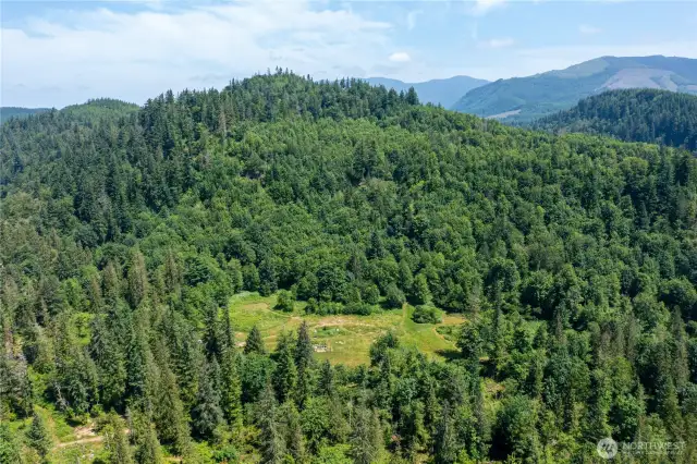 Large & open Multipurpose Meadow
