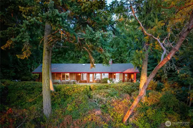 Aerial photo highlights gorgeous trees that frame the house.