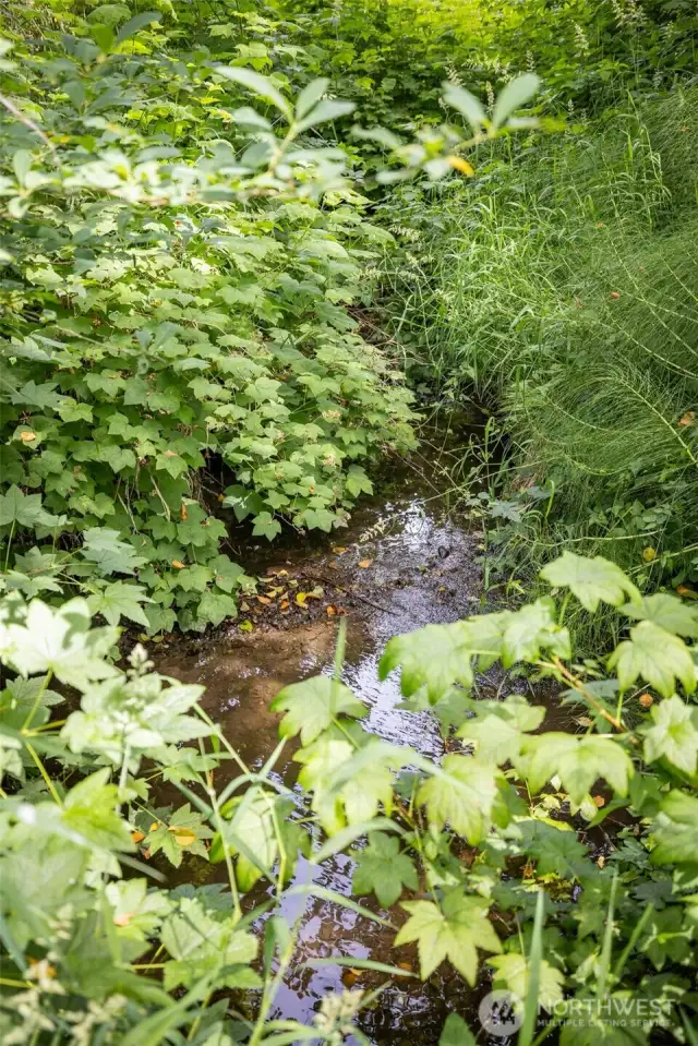 Creek
