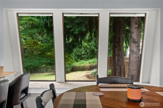 Dining room/garden windows