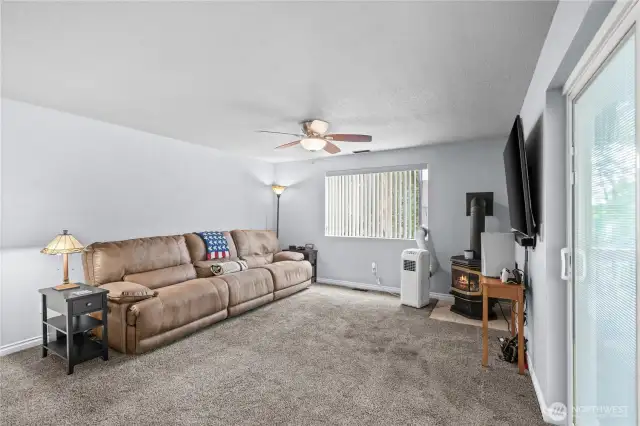 Lower family room