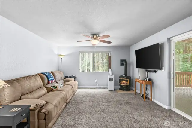 Lower family room