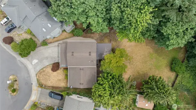 Aerial #1
