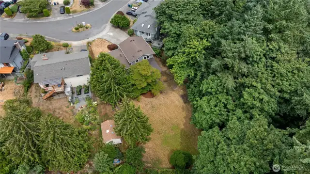 Aerial #2