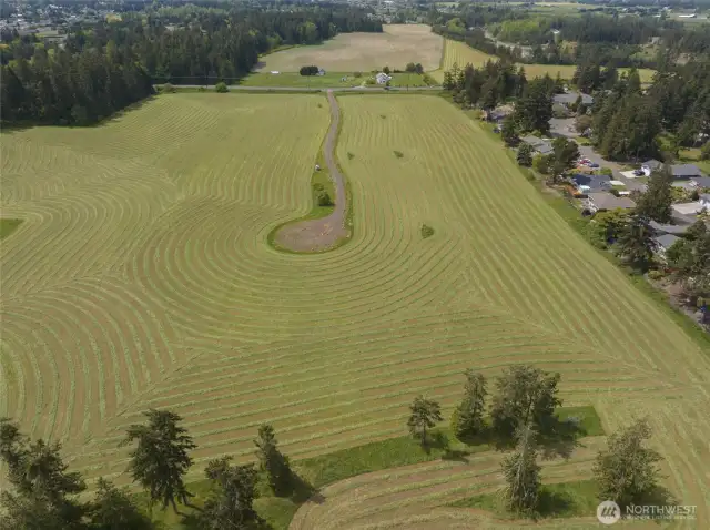Experience the tranquility and productivity of the Dungeness Valley with expansive acreage.  Currently cultivated in hay, it offers fertile ground and serene surroundings for your vision.