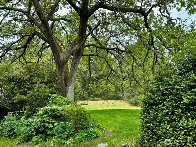 The Grand Dame Garry Oak tree in front of the house is approximately 250 years old and is a stunner year round.