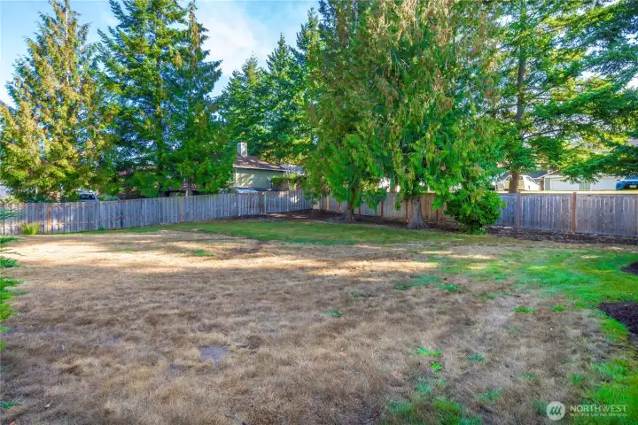 Back patio opens directly to a spacious, grassy common area — ideal for pets or relaxing outdoors