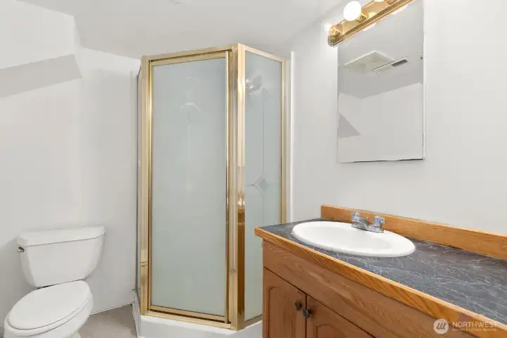 the lower level bathroom