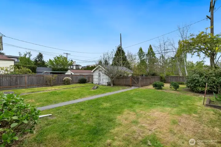 back yard