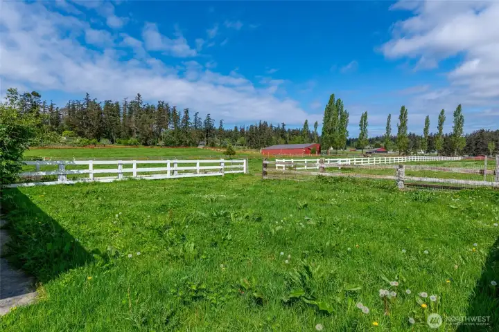 Fully fenced 5 acres of pasture, yard and garden space