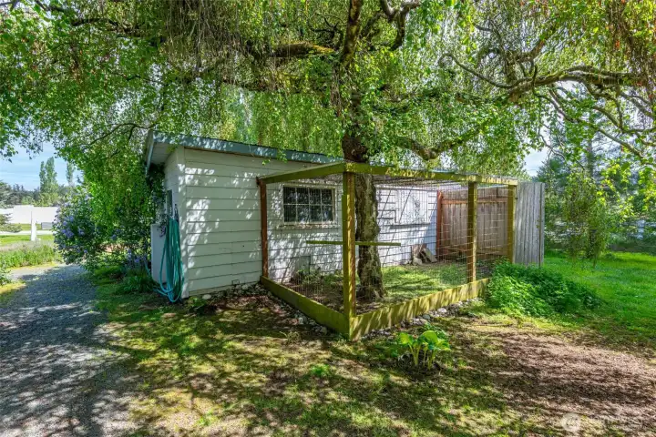 Chicken coop has two separate outdoor enclosures