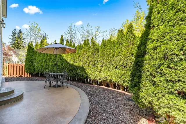 Low Maintenance Backyard w/privacy
