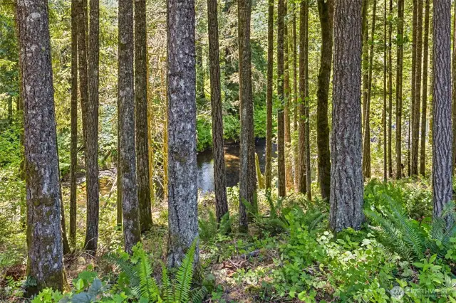 Main Home - View of Deschutes River through trees off of the deck.