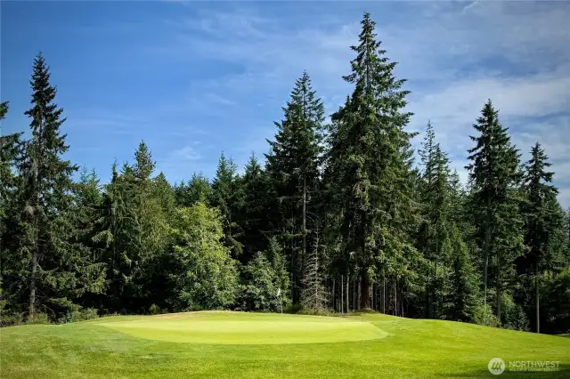 Fore!!!