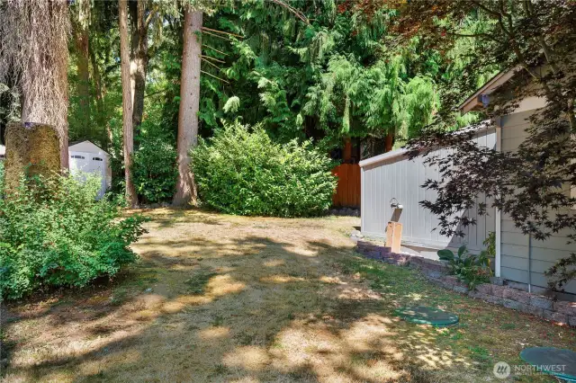 Lot's of yard space.