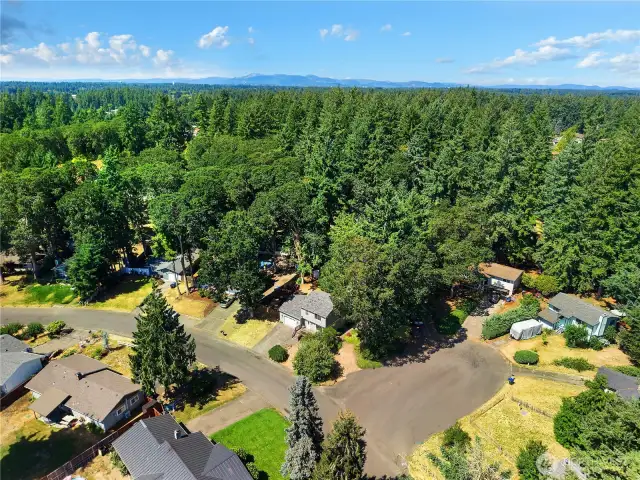 Aerial shot.