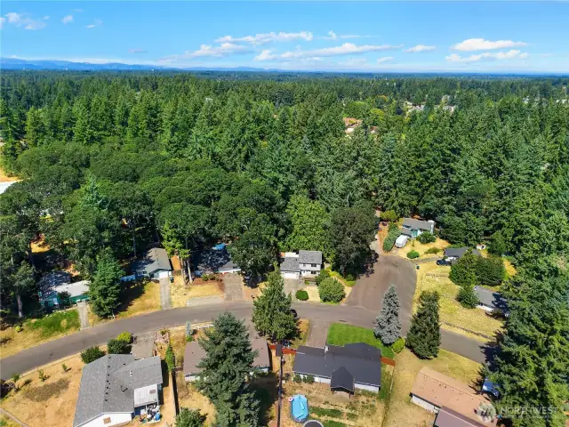 Love the PNW - so many trees!