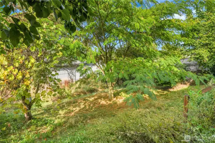 over 5,000 square foot lot