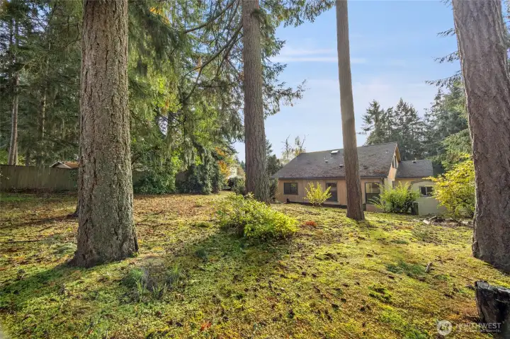 Backyard *Exterior Painting in Progress