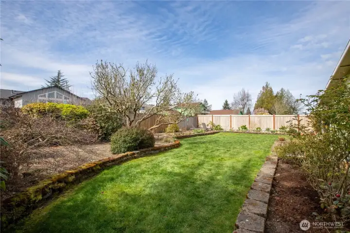 Expansive, fully usable backyard with lush lawn and mature landscaping, offering privacy and endless possibilities for outdoor living.