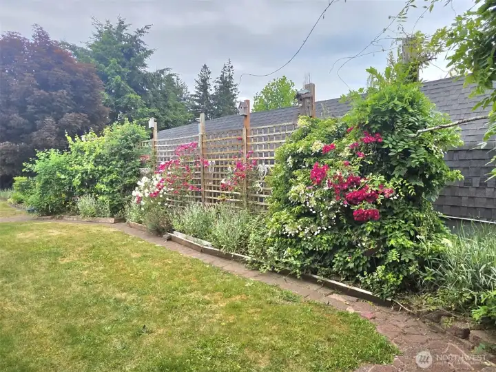 Gorgeous flowering gardens