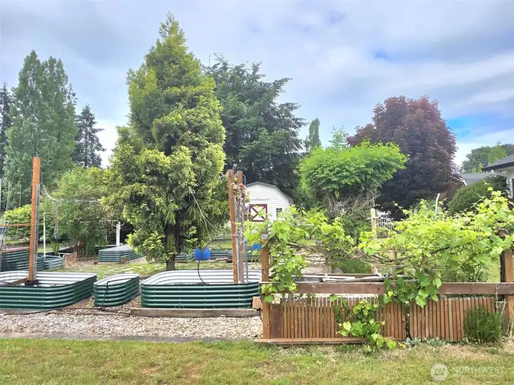 Bountiful garden space!