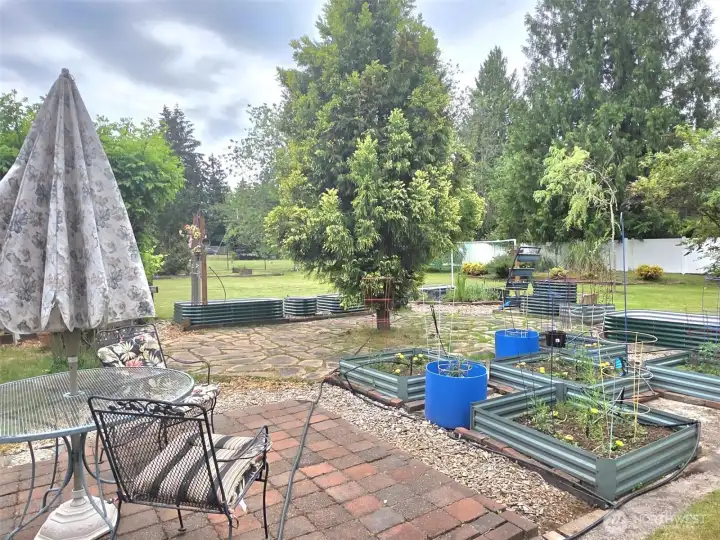 raised beds with sprinklers