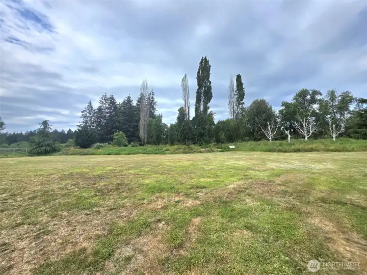 backyard acreage