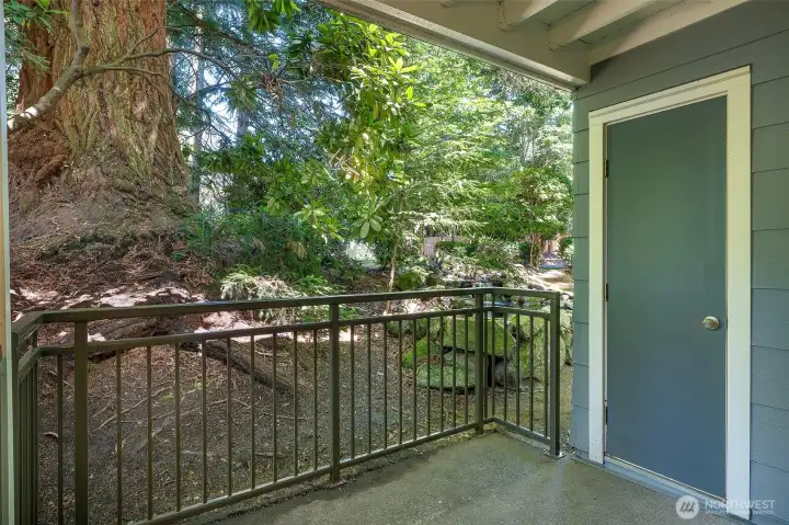 West facing patio with storage closet.
