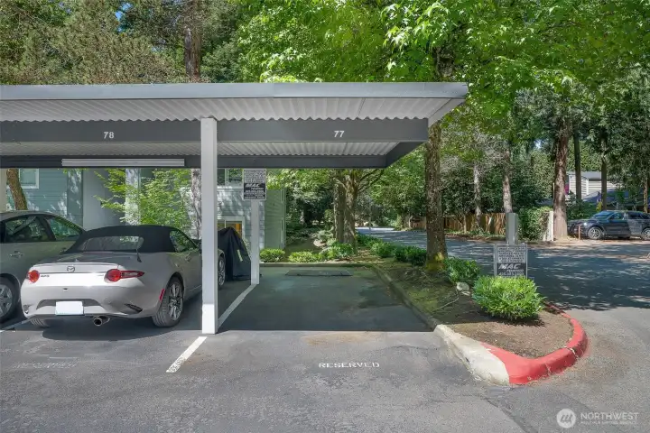 Covered parking space in front of unit.