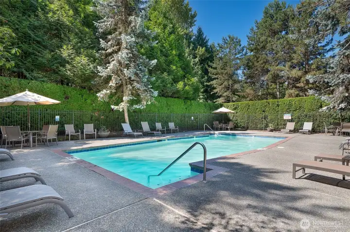 Beautiful pool.