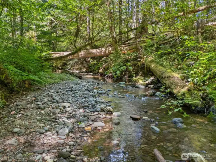 Dow Creek adjacent to greenbelt