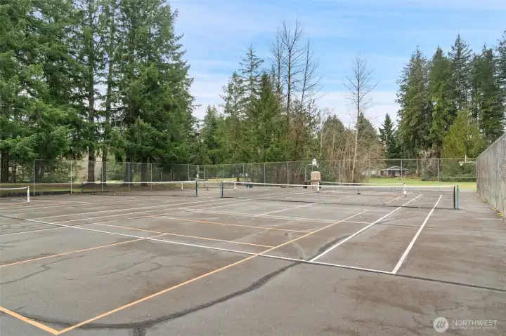 Pickleball court