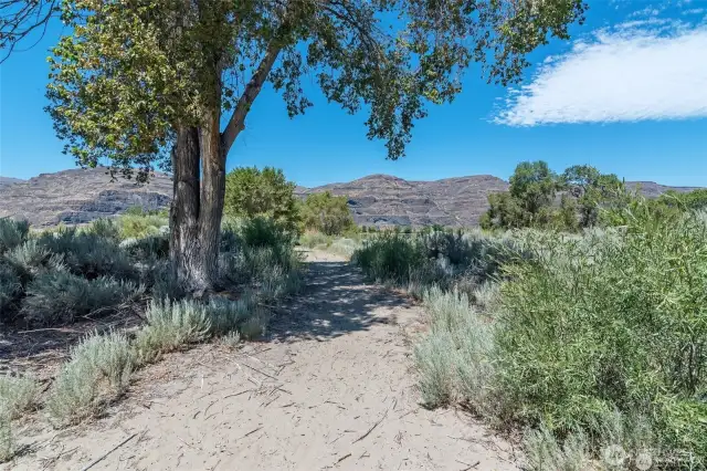 Sandy path to the beach