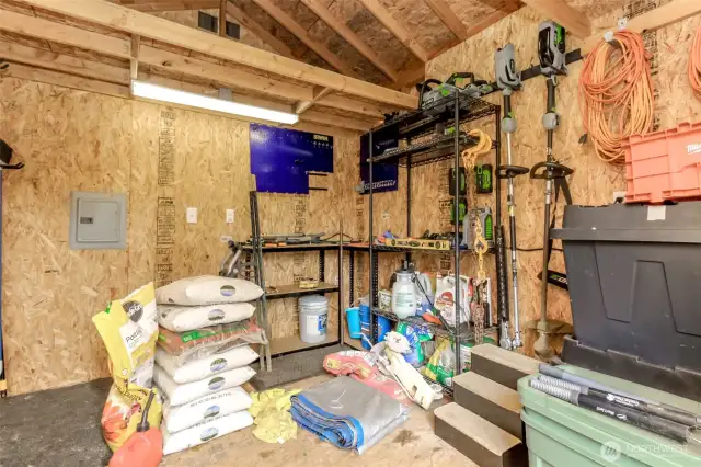 Shed View #2