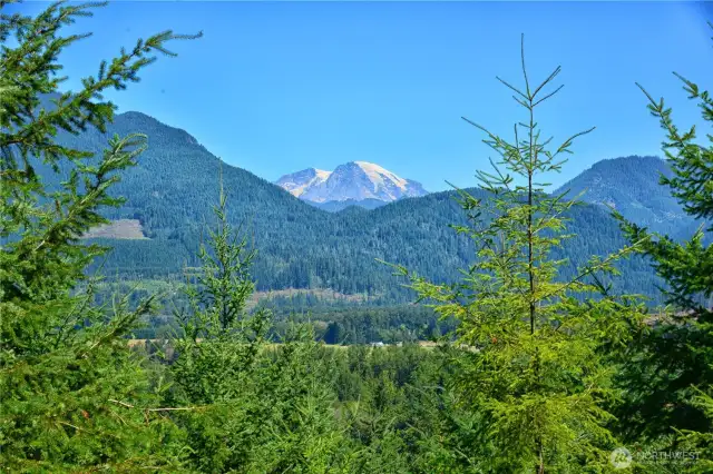 Lot 1 Mt. Rainier views