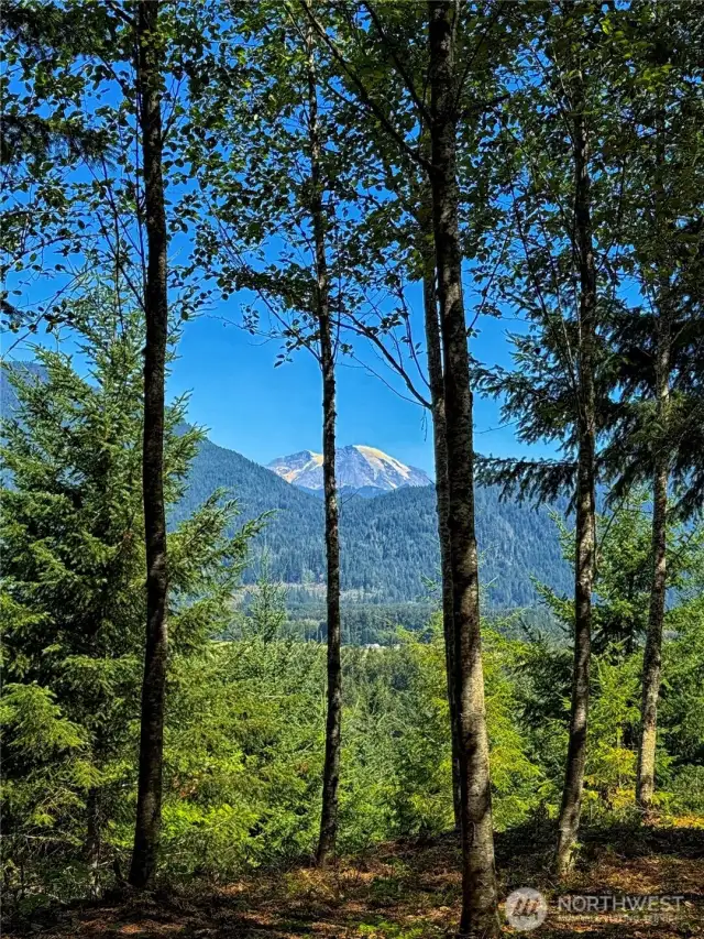 Mt. Rainier views from Lot 1