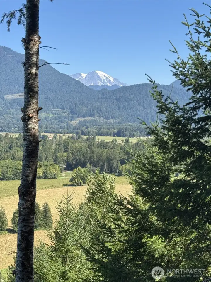Mt. Rainier Views from Lot 1