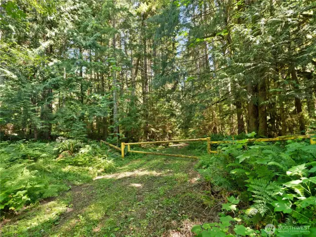 Entrance to Gifford Pinchot National Forest. Photos are representative of the overall property and may not reflect the unique features of each individual lot.