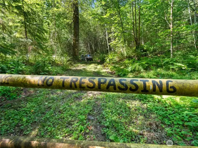 Entrance to Gifford Pinchot National Forest. Photos are representative of the overall property and may not reflect the unique features of each individual lot.
