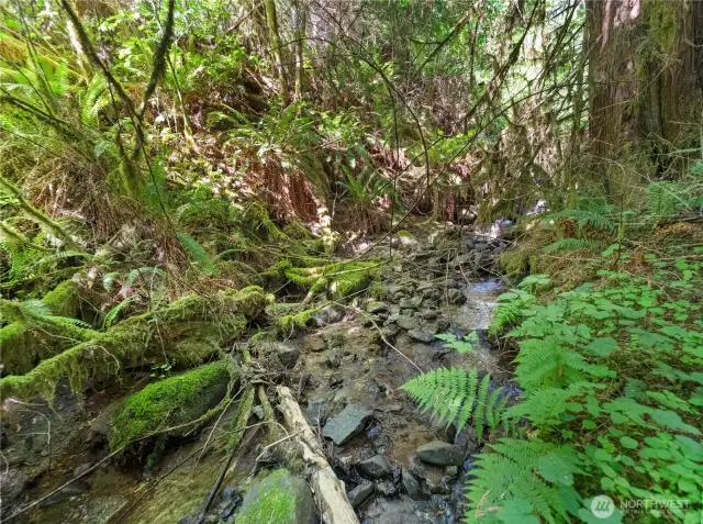 Photos are representative of the overall property and may not reflect the unique features of each individual lot.
