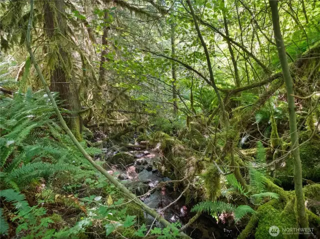 Photos are representative of the overall property and may not reflect the unique features of each individual lot.