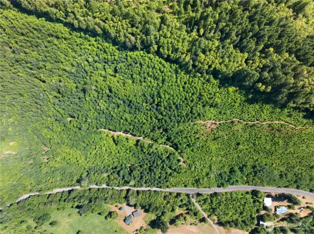 Photos are representative of the overall property and may not reflect the unique features of each individual lot.