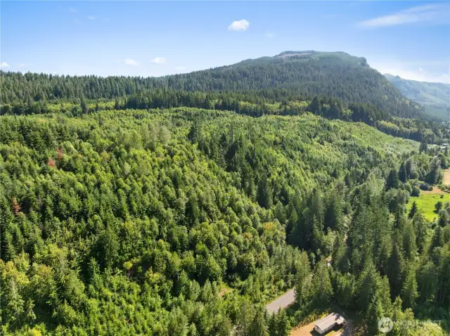 Photos are representative of the overall property and may not reflect the unique features of each individual lot.
