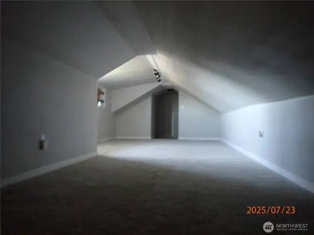 Large Bonus Room
