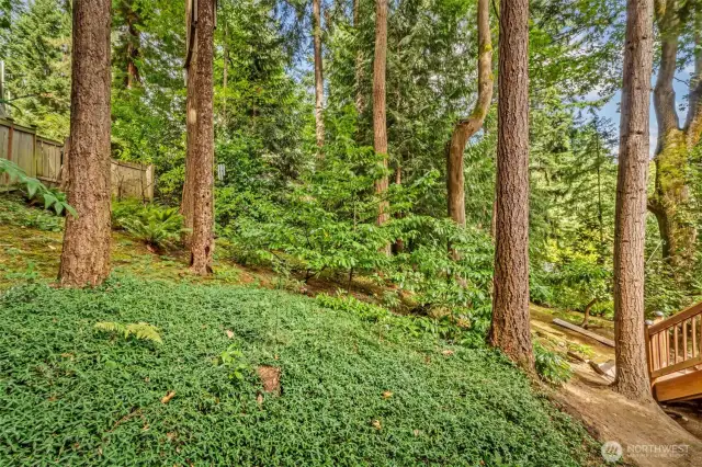 HEAVILY wooded yard, maximum privacy, end of the cul de sac