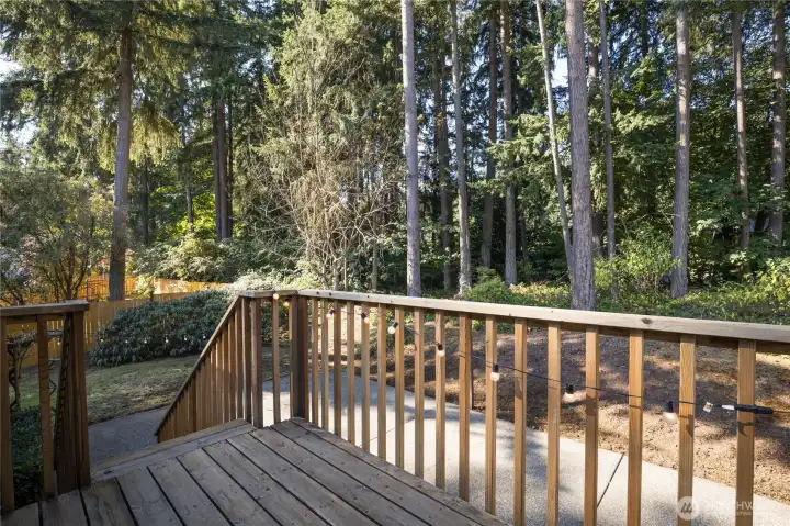 Back deck