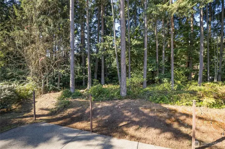 View from the back deck - excellent privacy here!