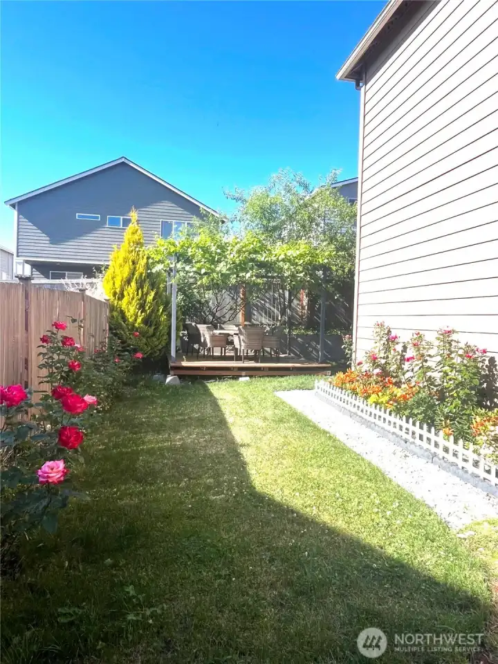 Long Flower-bed on the side of the house