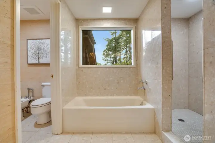 Stone wrapped walk in shower, soaking tub & private room with bidet.